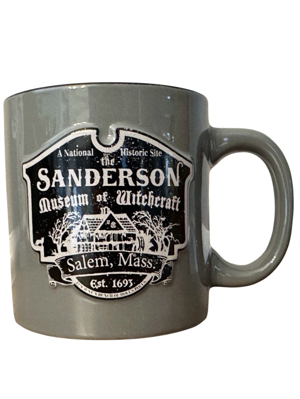 Disney Hocus Pocus Sanderson Museum of Witchcraft Halloween Coffee Mug Gray 20oz